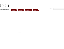 Tablet Screenshot of fungcollaboratives.org